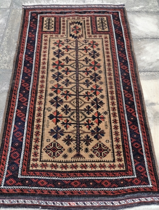 Antique Belouch prayer rug, in good condition, some black wool corrosion.
60in by 33in                    