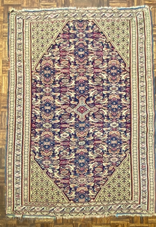 Antique Senn-eh Kilim Rug, 4’1” x 5’9” // 124 x 175 cm

Indigo ground octagonal field with crisply drawn variant of the Herati design with a small

diamond shaped medallion with four small pendants  ...