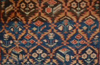 Caucasian Daghestan floral-latice rug. For another Daghestan rug with very similar floral latice see Ian Bennett: Rug no. 420. In: Oriental Rugs. Vol. 1: Caucasian. 1993. p: 316. That one is dated  ...