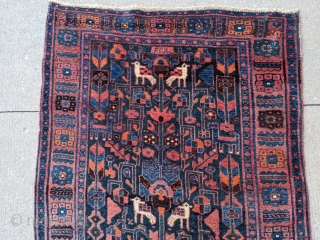 Antique Kurdish runner with gorgeous colors and full pile. 3ft6in x 15ft1in or 106x460cm. Wool on wool foundation. There are a lot of animals on this runner.

Let me know if you need  ...