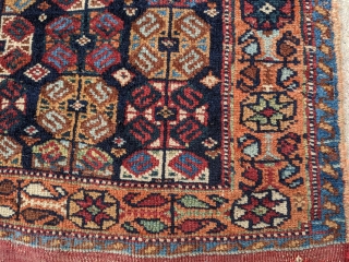 Late 19th century Afshar bag. Unique design with some Kurdish influence. 2'2" x 2'9". Wonderful dyes and soft shiny wool. Great pile condition. Let me know if you need more info.

Cheers.  