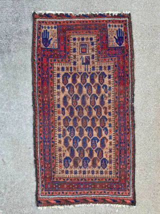 One lonely chicken on the top of this old Baluch prayer rug with hands on the panels. Depressed warps. 2'5" x 4'7". Contact me at steven.malloch@gmail.com or gerrerugs@gmail.com for more info since  ...