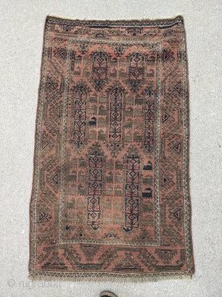 Antique Yaqub Khani Baluch. Interesting, nice and mellow color palette. 2'8" x 4'8" or 82 x 142cm. Typical oxidized browns. No holes.

Cheers.           