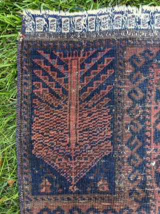 Mid 19th Century Timuri Baluch prayer rug. 3'1" x 4'2" or 94 x 127cm. The field design is common on Chakhansur larger rugs. No holes, beautiful embroidered end with multi color selvedges,  ...