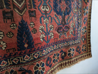 Antique Sistan Baluch rug with cotton warps and an Afshar design. 6'3" x 3'9" or 190 x 114cm. Please contact me at steven.malloch@gmail.com or gerrerugs@gmail.com for purchase or questions. Cheers.   