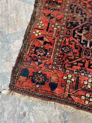 Colorful antique Baluch rug with some animal motifs in the flower border. 3'4" x 5'9".                  