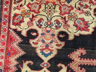 Wonderful Vagireh sampler rug. Love the one chicken. 3'4" x 4'4". Cheers.                     