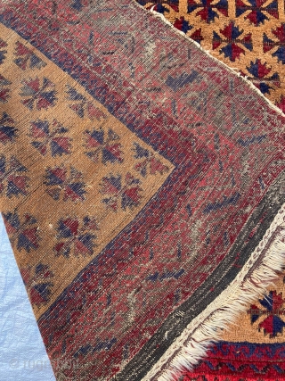 Antique, quite old, Baluch rug. Unusual large size undyed camel hair field. Love how the spacing of the leaves become more generous.   230 x 140cm or 7'7" x 4'8"  