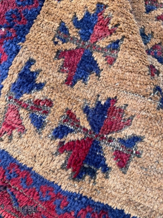 Antique, quite old, Baluch rug. Unusual large size undyed camel hair field. Love how the spacing of the leaves become more generous.   230 x 140cm or 7'7" x 4'8"  