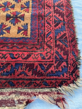 Antique, quite old, Baluch rug. Unusual large size undyed camel hair field. Love how the spacing of the leaves become more generous.   230 x 140cm or 7'7" x 4'8"  