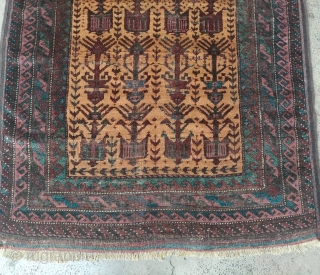 Antique Baluch prayer rug. Wonderful design and deep colors. 3'0" x 5'6" or 91x166cm                   