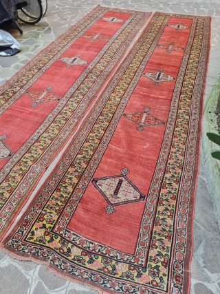antique twins runner northwest iran need small reparation size :515x118 cm                      