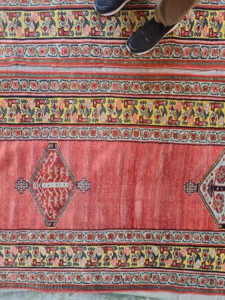 antique twins runner northwest iran need small reparation size :515x118 cm                      