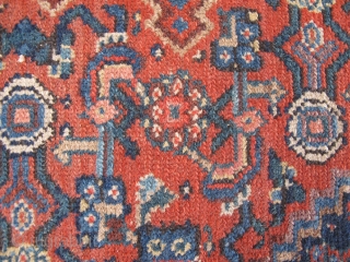 A Senneh rug, late nineteenth century. Very good overall condition for age. Size is 103cm x 63cm. 40.55" x .24.8"             