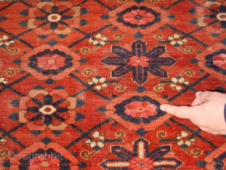 1870 turkoman beshir? large chuwal, with lots of silk knots, some low pile, some wear, see photos closely,, no repairs,
great natural colors

177x99cm
5.9x3.3ft           