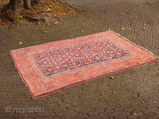 fabulous pre 1900 antique bidjar rug , all wool!!! superbe natural colors, complete headends, no stains, no tears, no holes, no repairs           