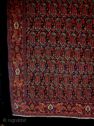 Sennah
Size: 138x202cm (406x6.7ft)
Natural colors, made in circa 1910/20                         
