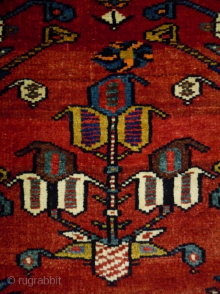 Qasqhay Luri
Size: 93x113cm (3.1x3.8ft)
Natural colors, made in circa 1920                        