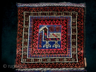 Baluch Bag
Size: 37x73cm (1.2x2.4ft)                             