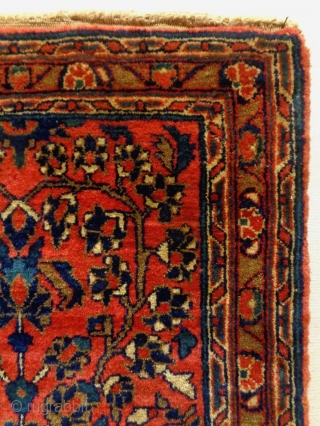 Saroukh
Size: 51x69cm
Natural colors, circa 80 - 90 years old
                        