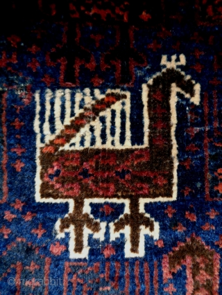 Baluch Bagface
Size: 67x56cm (2.2x1.9ft)
Natural colors, made in circa 1910, there are moth bites                    