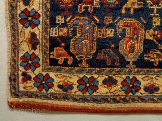 Fine Afshar
Size: 74x53cm
Natural colors, made in circa 1910/20                         