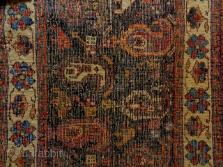 Fine Afshar
Size: 74x53cm
Natural colors, made in circa 1910/20                         
