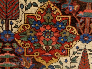 Fine Bachtiar
Size: 142x212cm (4.7x7.1ft)
Natural colors, made in circa 1910, the selvages and headends are not original, one stitch at the left selvage.           