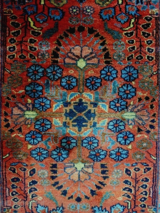 Full Pile Glossy Saroukh
Size: 80x159cm
Natural colors, made in period 1910/20                       