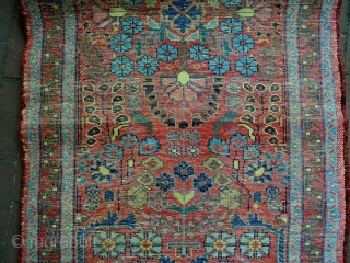 Full Pile Glossy Saroukh
Size: 80x159cm
Natural colors, made in period 1910/20                       