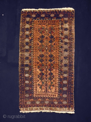 1880 Belouch Balisth
Size: 48x88cm (1.6x2.9ft)
Natural colors, very fine                         