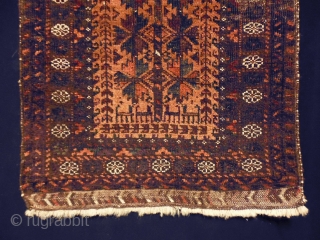 1880 Belouch Balisth
Size: 48x88cm (1.6x2.9ft)
Natural colors, very fine                         