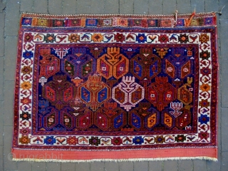 Afshar Bagface
Size: 94x65cm
Natural colors, made in period 1910                         