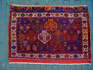 Afshar Bagface
Size: 94x65cm
Natural colors, made in period 1910                         