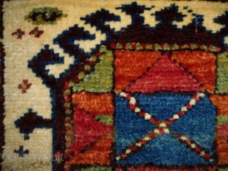 Kurd Bagface
Size: 58x68cm (1.9x2.3ft)
Natural colors, made in circa 1910, there is an old repair at the top right corner.              