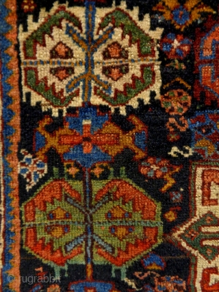 Vey Fine Kamseh/Qasqhay bagface
Size: 65x52cm
Natural colors (except the red color is not natural), made in circa 1910/20                