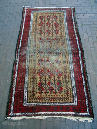 Baluch
Size: 98x180cm
Natural colors, universal design, camel hair, Turkish knot.                        