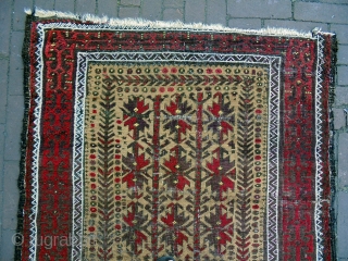 Baluch
Size: 98x180cm
Natural colors, universal design, camel hair, Turkish knot.                        