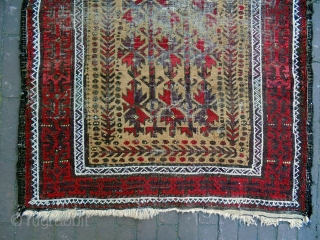 Baluch
Size: 98x180cm
Natural colors, universal design, camel hair, Turkish knot.                        