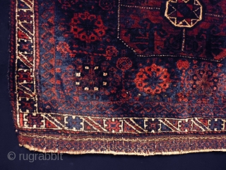 1880 Belouch Bagface
Size: 87x71cm (2.9x2.4ft)
Natural colors, glossy                          