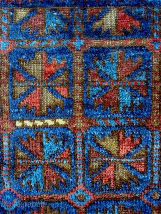 19th Century Baluch Bagface
Size: 62x57cm
Natural colors                           