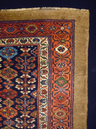 Interesting Design Kurd
Size: 115x153cm (3.8x5.1ft)
Natural colors, full pile, circa 80-90 years old                     