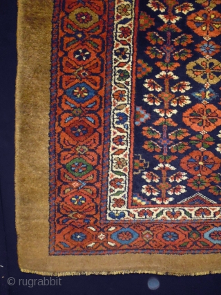 Interesting Design Kurd
Size: 115x153cm (3.8x5.1ft)
Natural colors, full pile, circa 80-90 years old                     