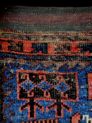 19th Century Bird Baluch Bagface
Size: 60x60cm (2.0x2.0ft)
Natural colors                         