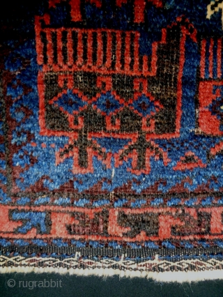 19th Century Bird Baluch Bagface
Size: 60x60cm (2.0x2.0ft)
Natural colors                         