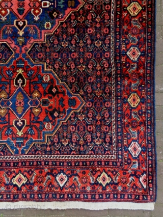 Sennah Rug
Size: 137x195cm (4.6x6.5ft)
Natural colors, circa 80 years old                        