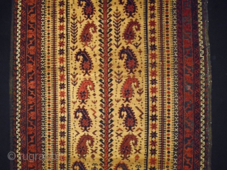 Special Belouch Prayer Rug
Sizr: 85x167cm (2.8x5.6ft)
Natural colors, made in circa 1910/20, the brown color is oxidation                 