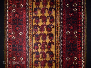 Belouch Prayer Rug
Size: 90x170cm (3.0x5.7ft)
                            