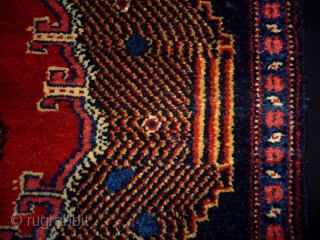 Sennah Mafrash
Size: 82x52cm (2.7x1.7ft)
Natural colors                            