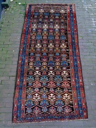 Kurd
Size: 112x240cm (3.7x8.0ft)
Natural colors, super wool quality, made in circa 1910                      